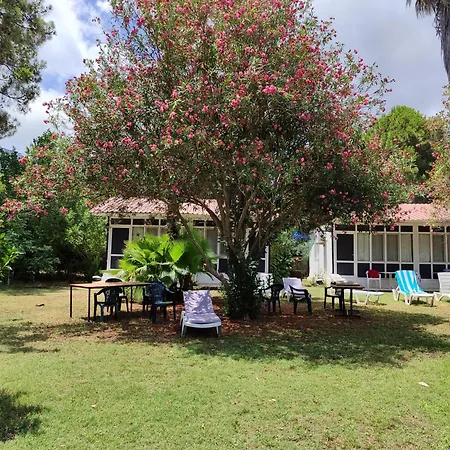 Kuecuek Ev 住宿加早餐酒店 *