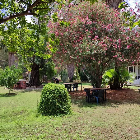 住宿加早餐酒店 Kuecuek Ev *